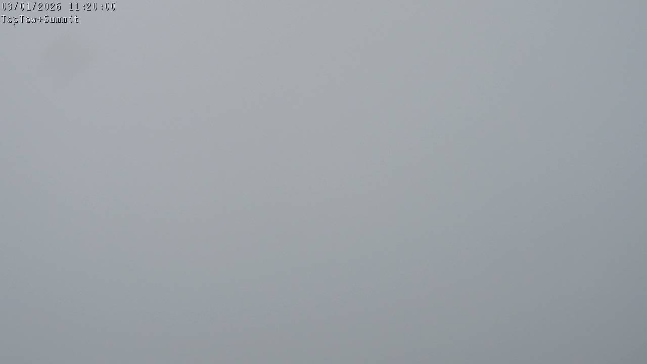 Top Tow, fixed zoom lens camera