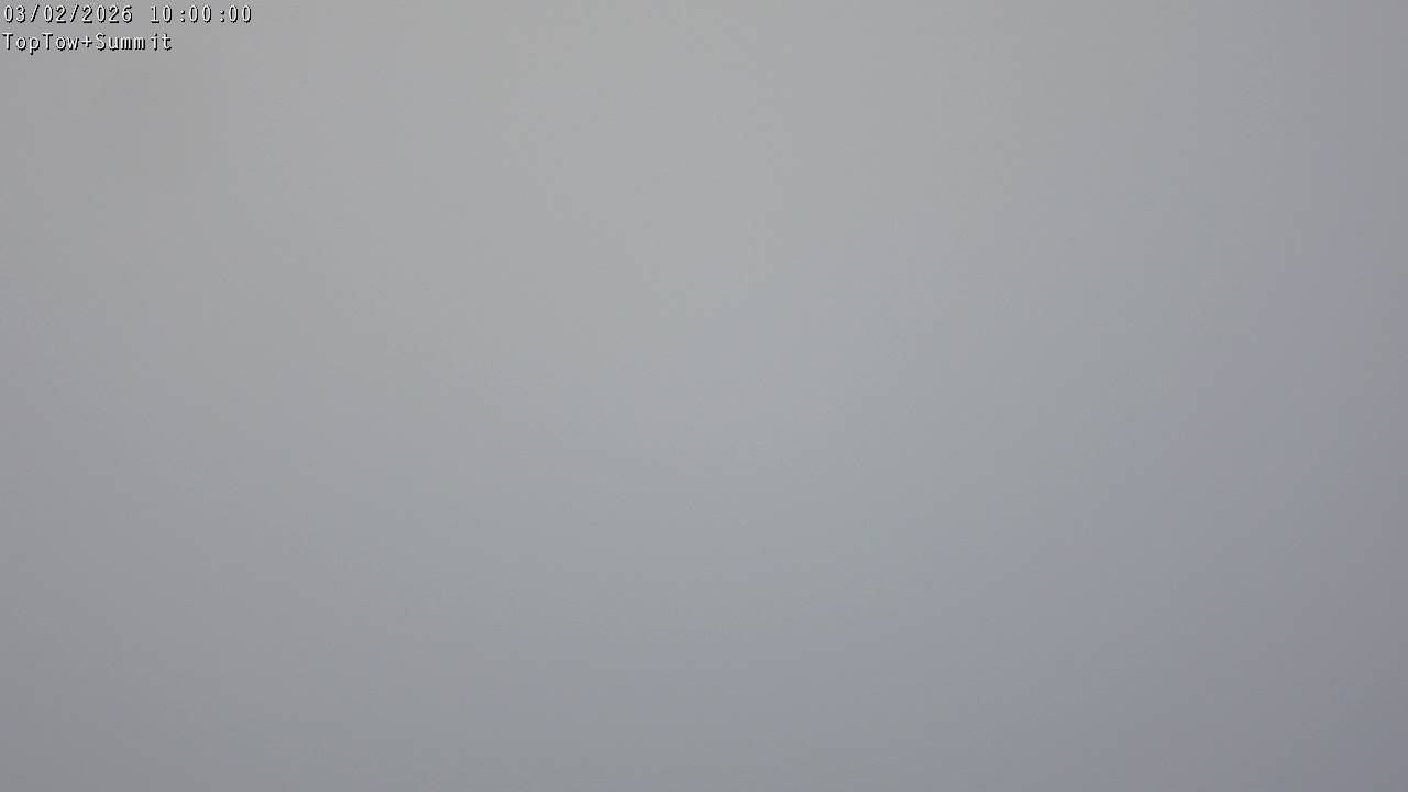 Top Tow, fixed zoom lens camera