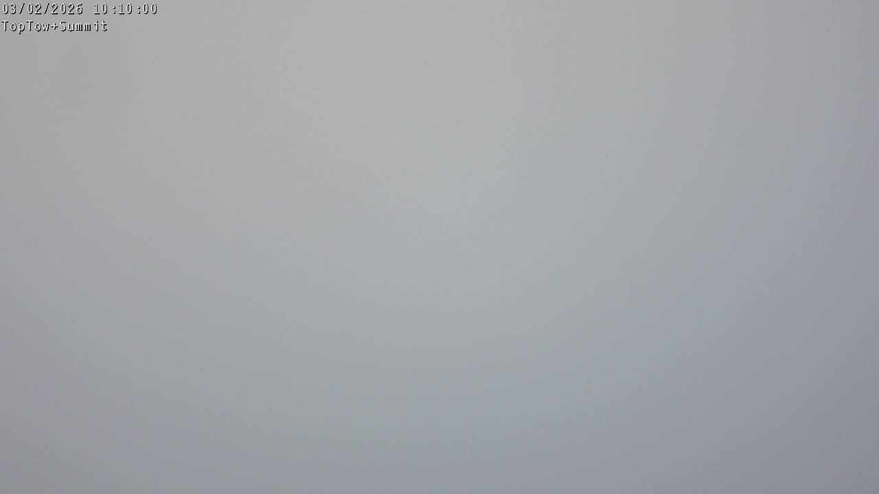 Top Tow, fixed zoom lens camera