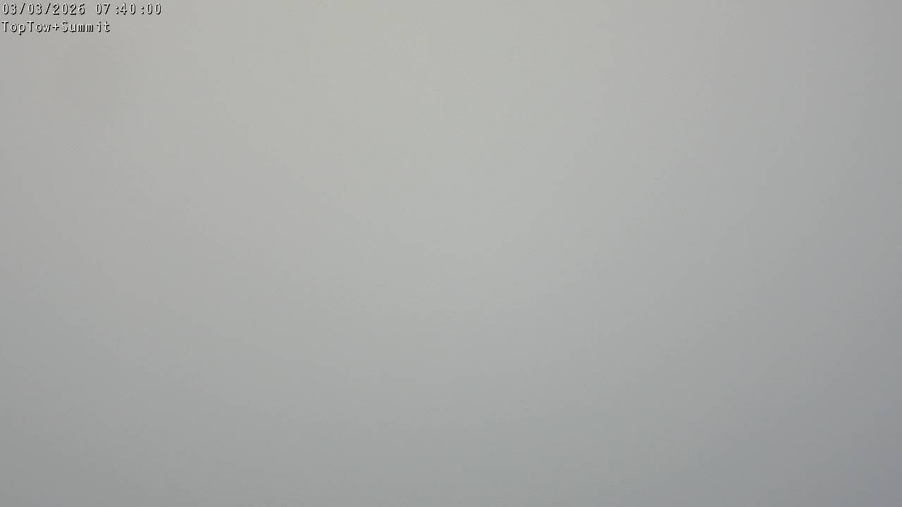 Top Tow, fixed zoom lens camera