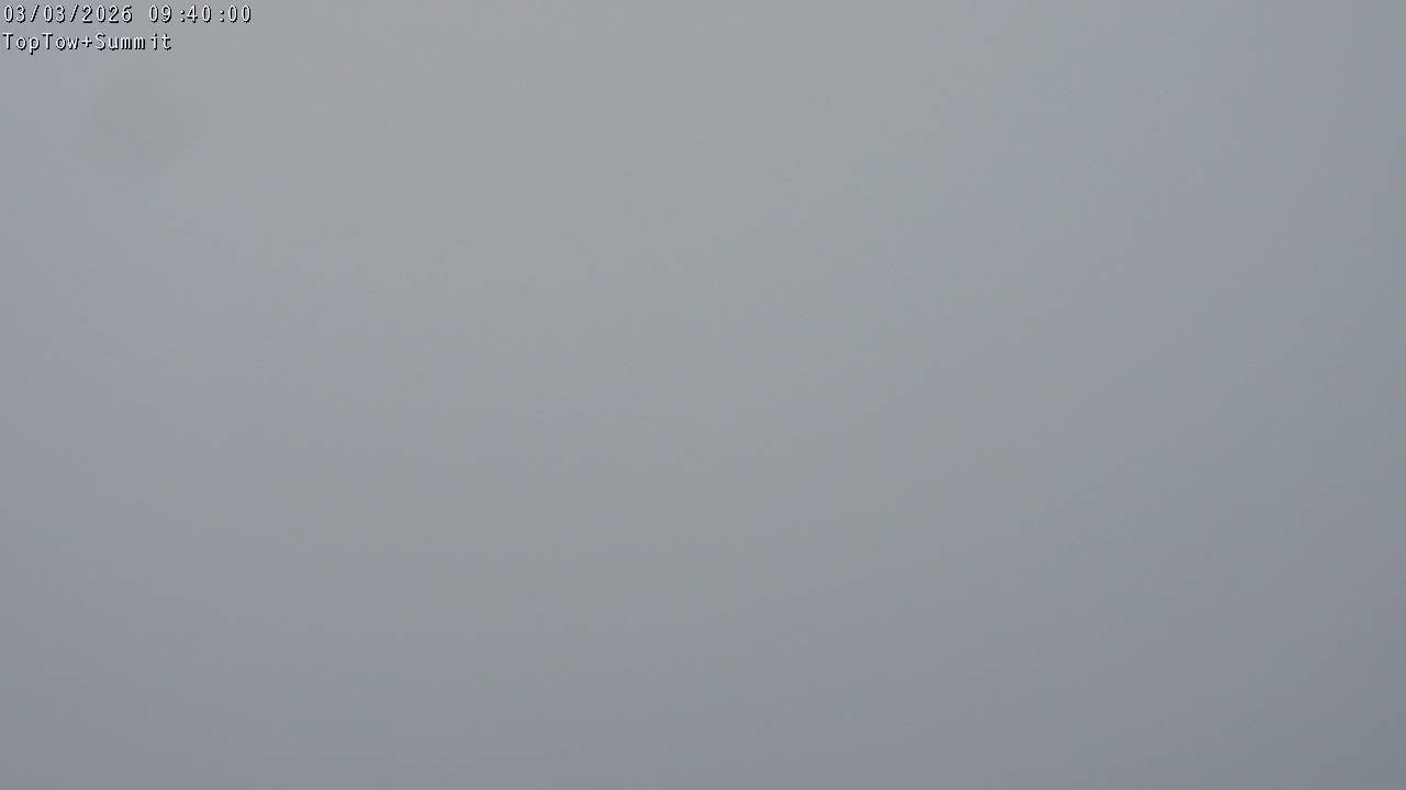 Top Tow, fixed zoom lens camera