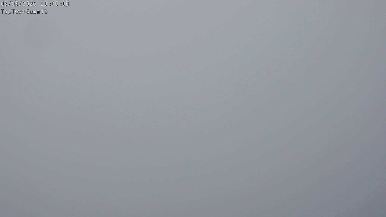 Top Tow, fixed zoom lens camera