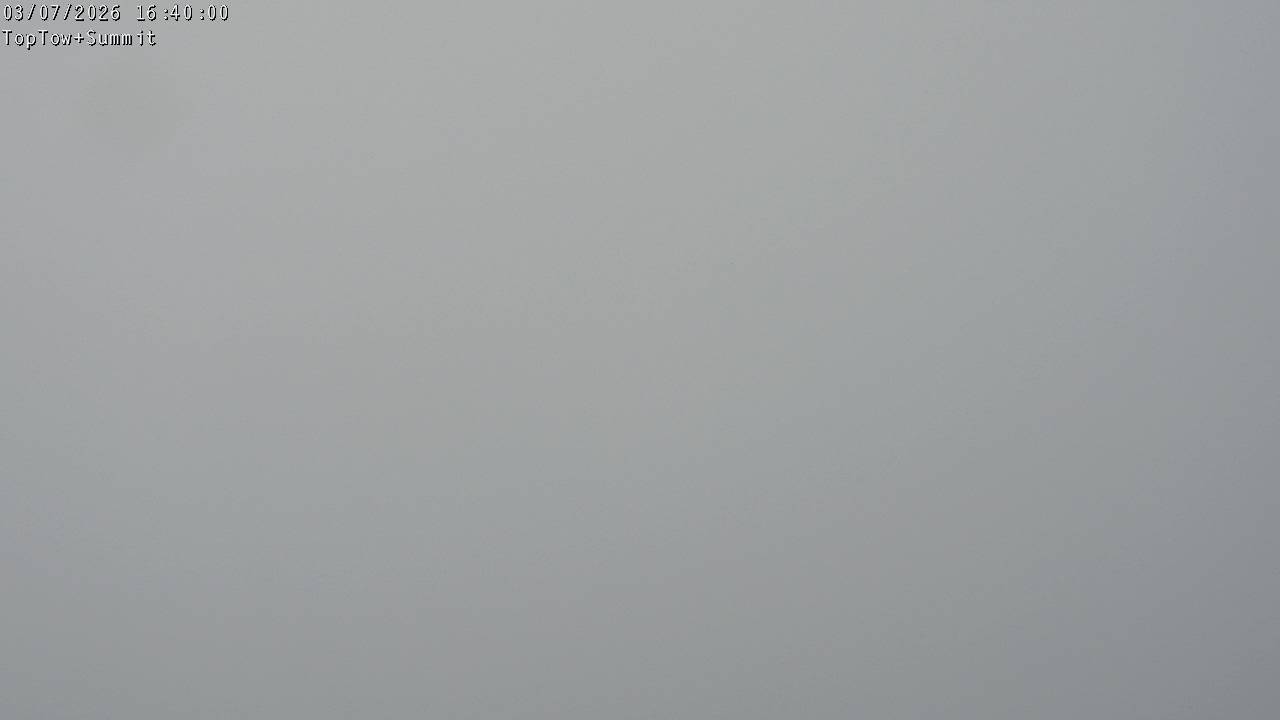 Top Tow, fixed zoom lens camera