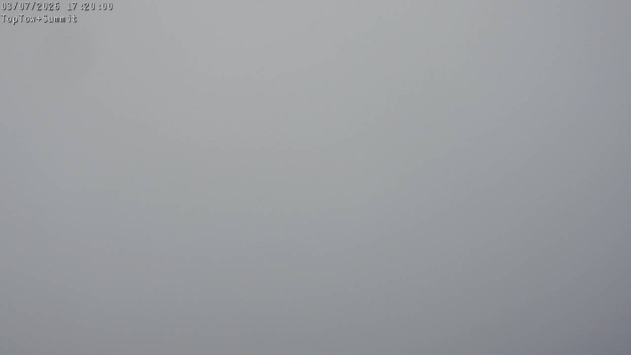 Top Tow, fixed zoom lens camera