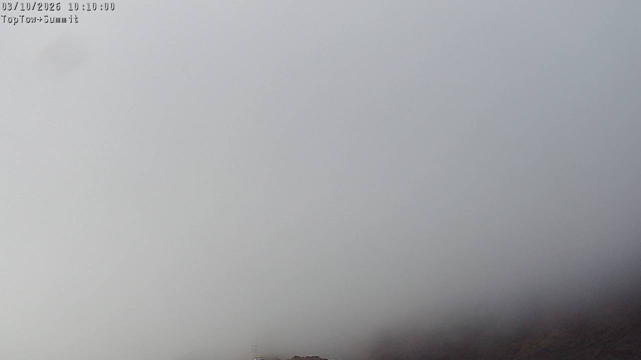 Top Tow, fixed zoom lens camera