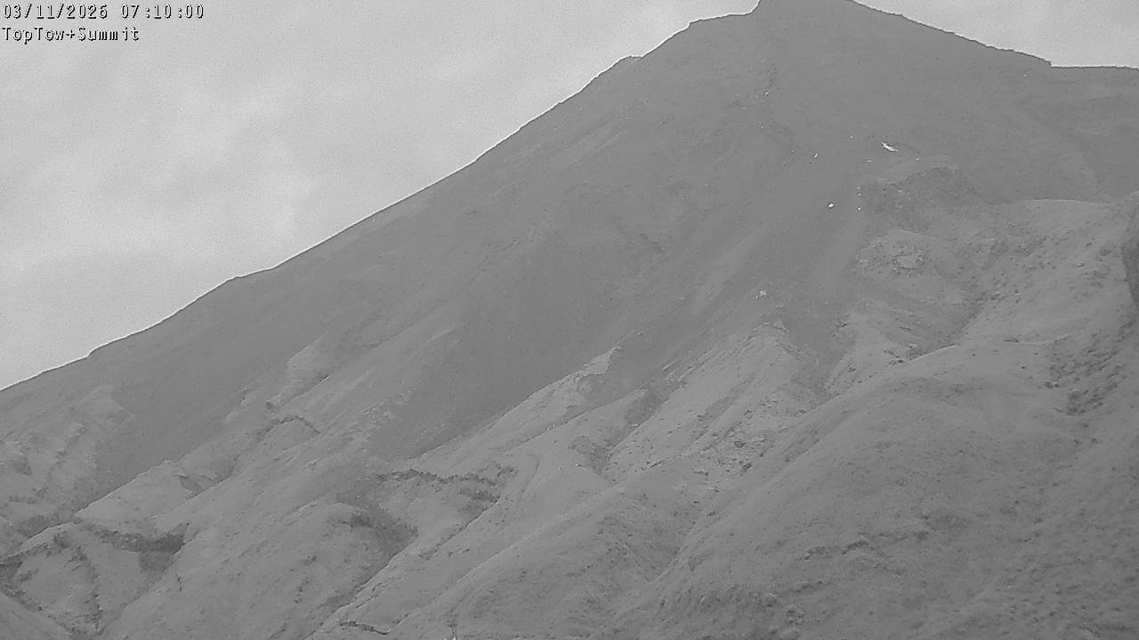 Top Tow, fixed zoom lens camera