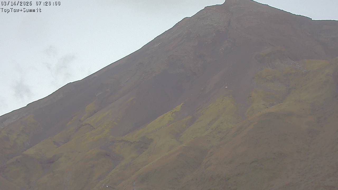 Top Tow, fixed zoom lens camera