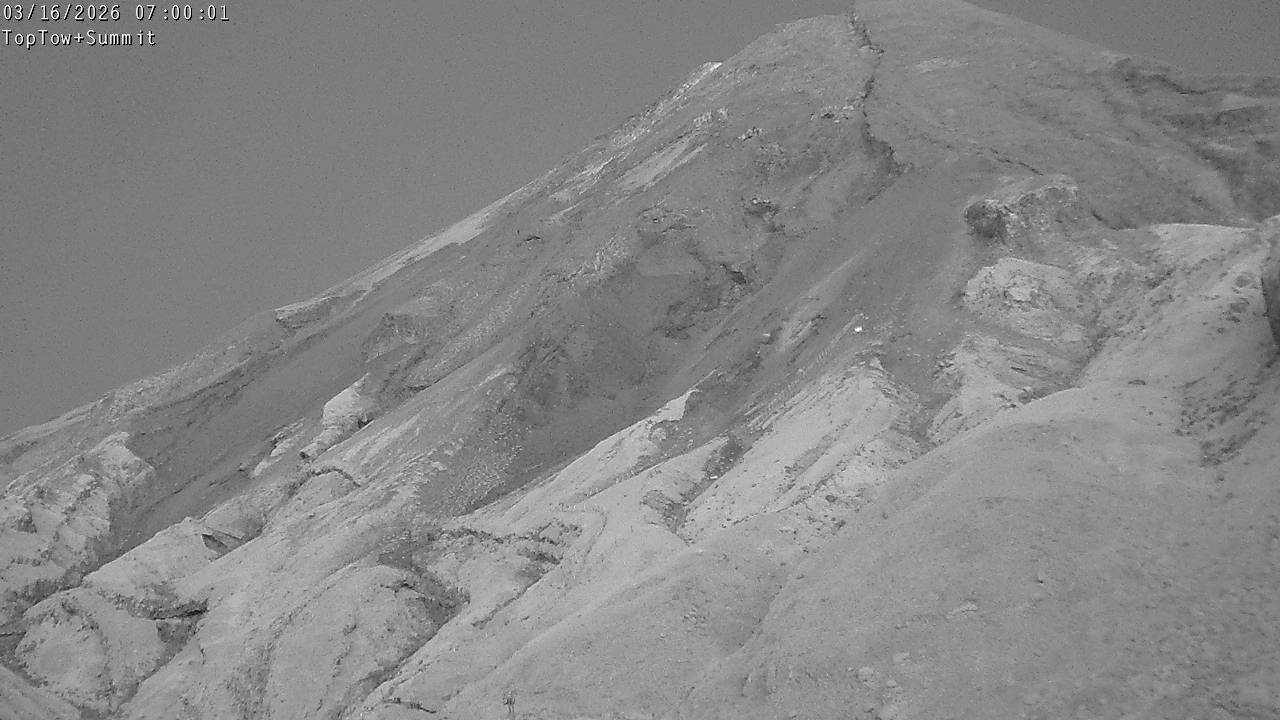 Top Tow, fixed zoom lens camera