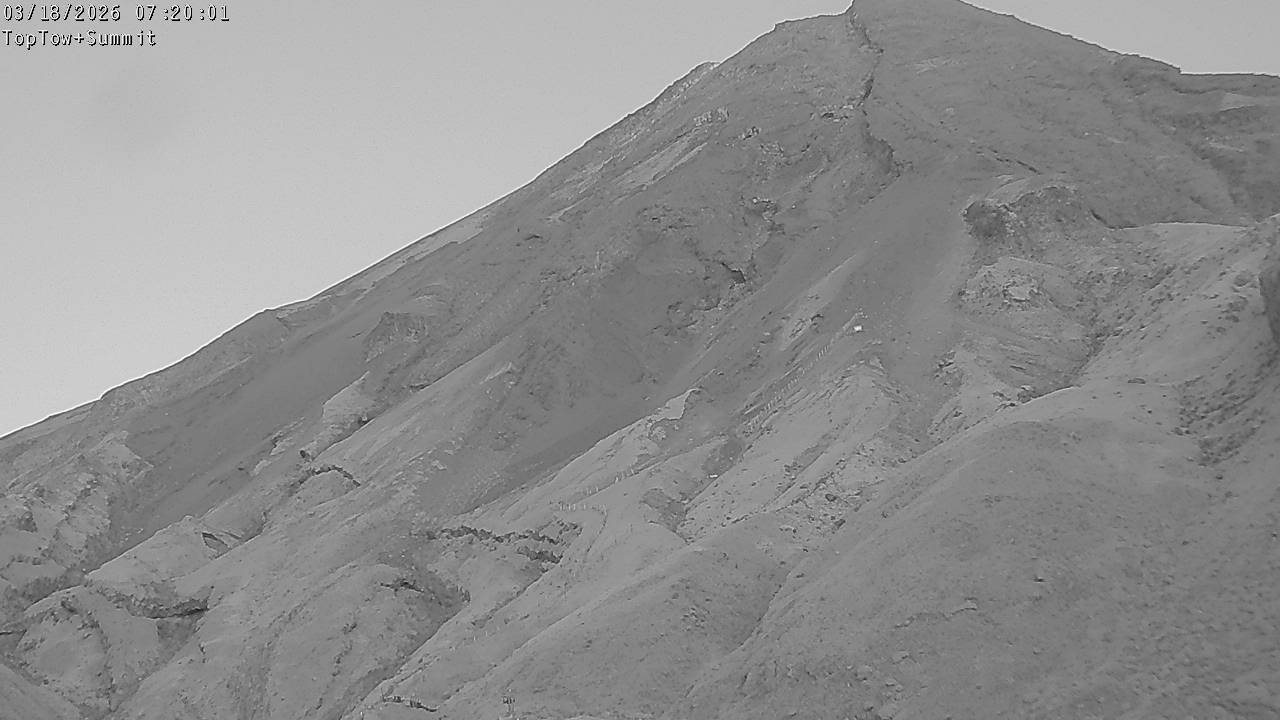 Top Tow, fixed zoom lens camera