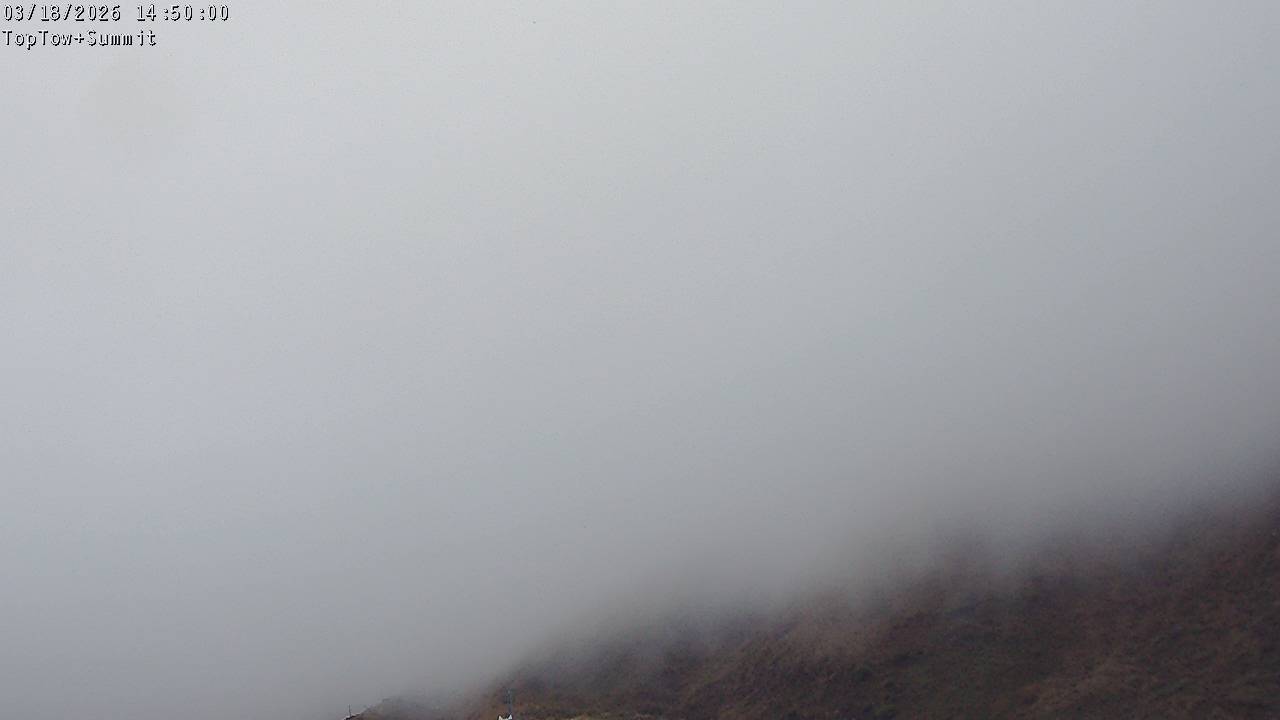 Top Tow, fixed zoom lens camera