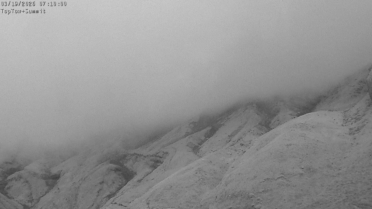 Top Tow, fixed zoom lens camera