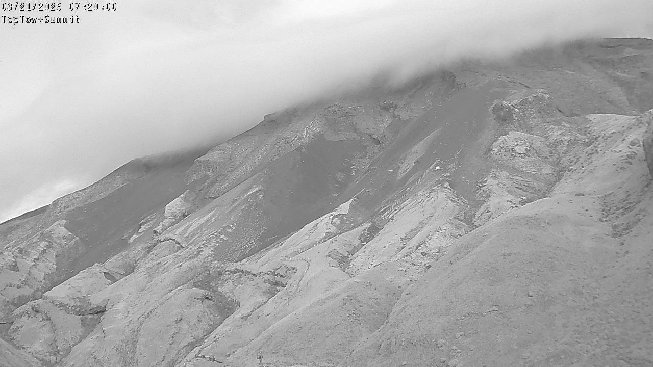 Top Tow, fixed zoom lens camera