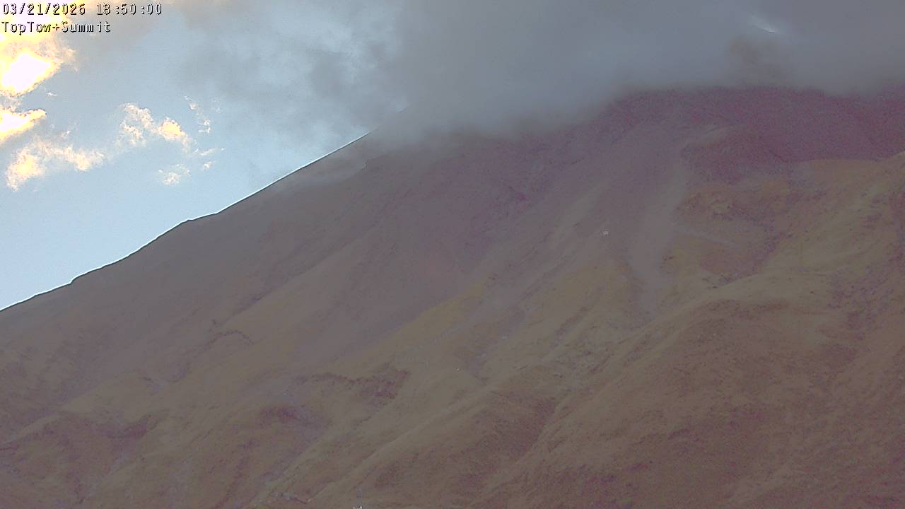 Top Tow, fixed zoom lens camera