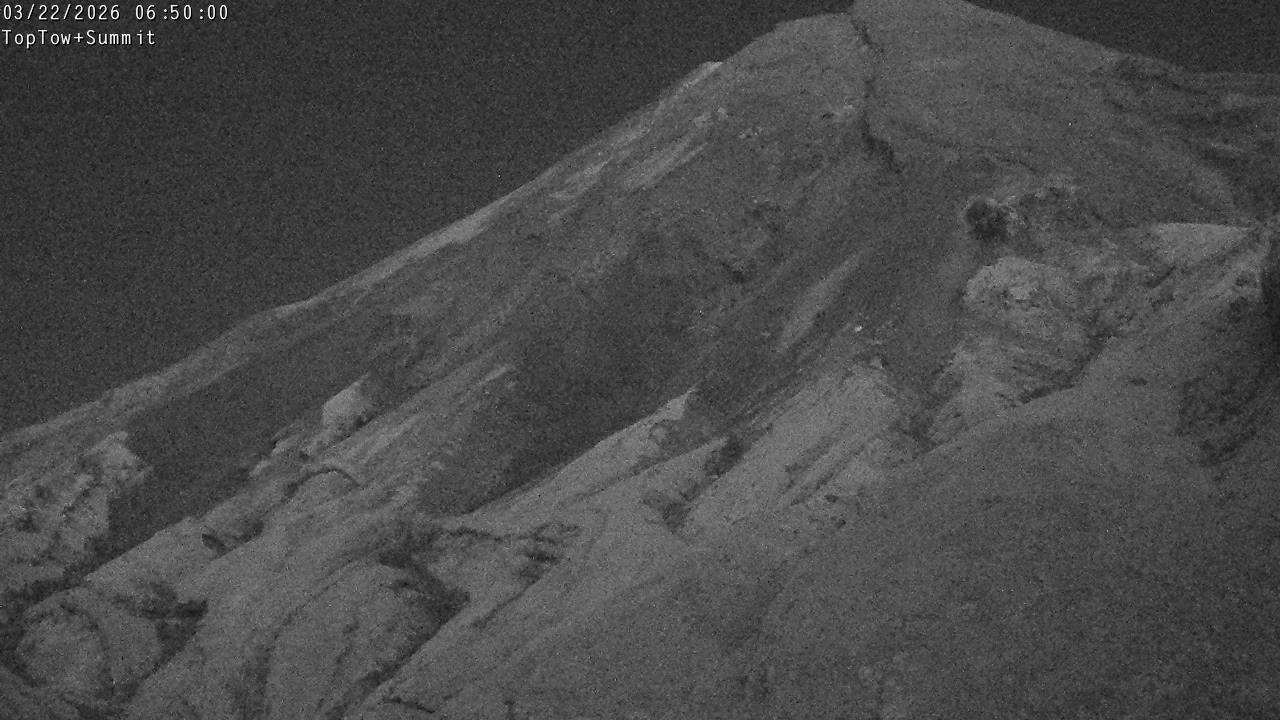 Top Tow, fixed zoom lens camera