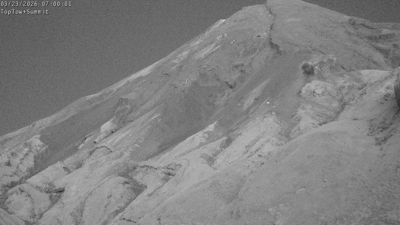 Top Tow, fixed zoom lens camera