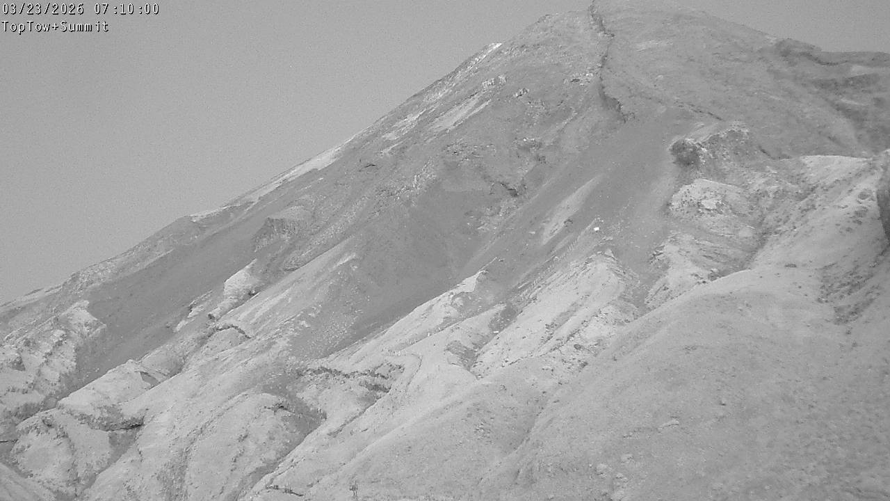 Top Tow, fixed zoom lens camera