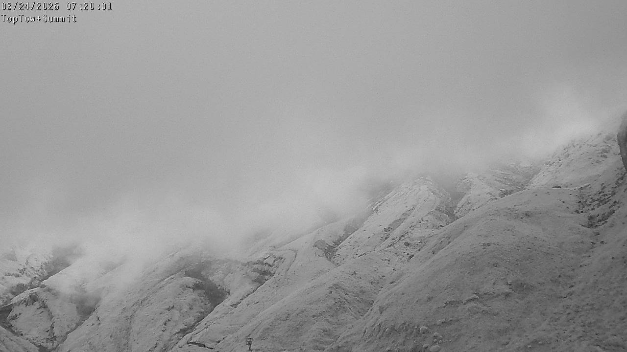 Top Tow, fixed zoom lens camera