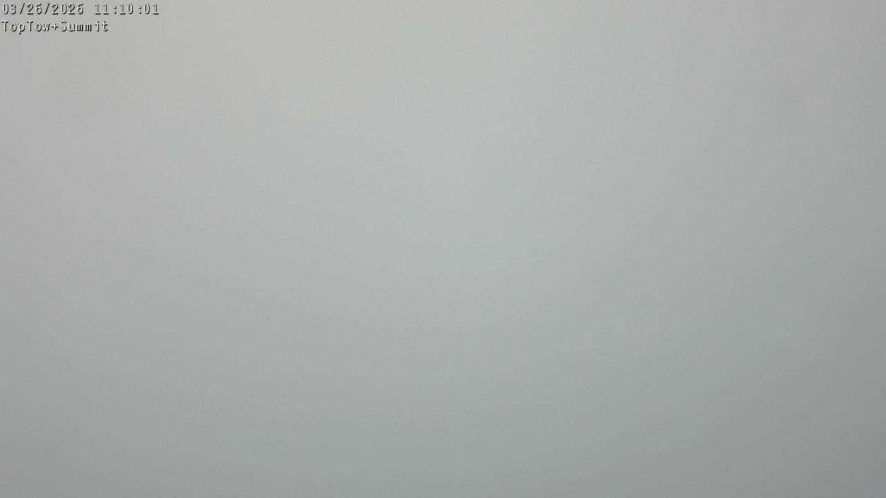 Top Tow, fixed zoom lens camera