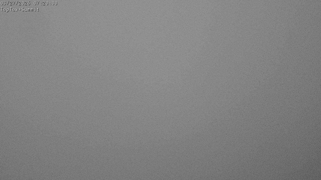 Top Tow, fixed zoom lens camera