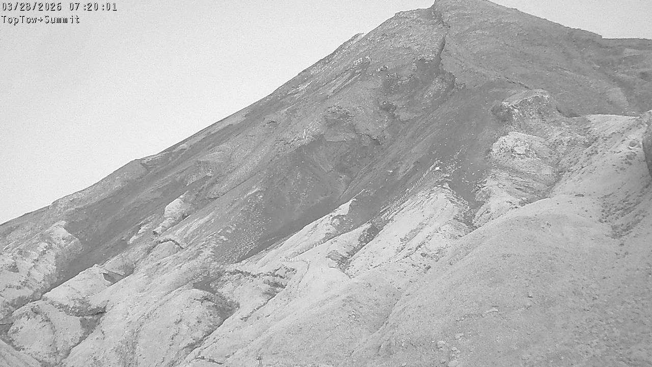 Top Tow, fixed zoom lens camera