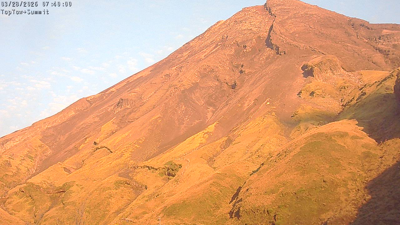 Top Tow, fixed zoom lens camera