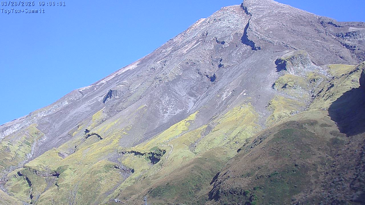 Top Tow, fixed zoom lens camera