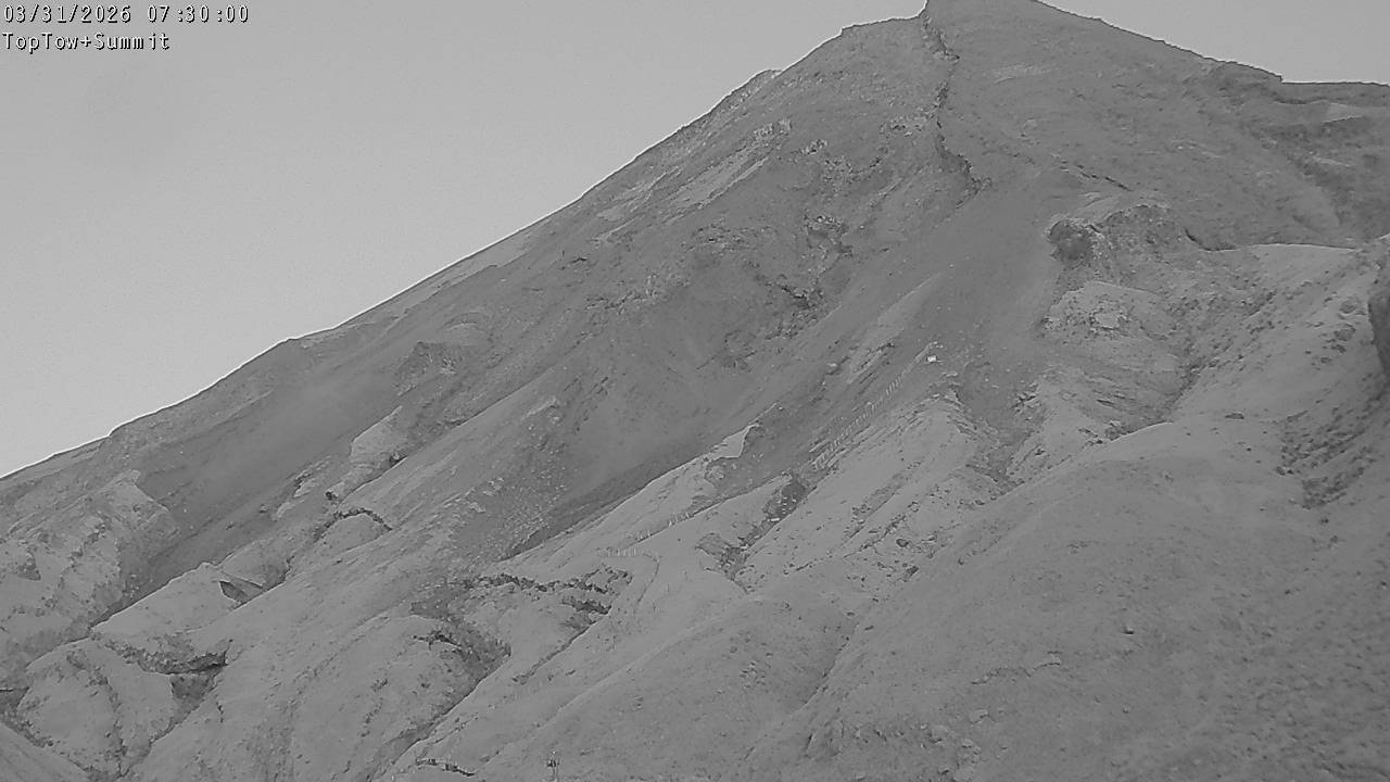 Top Tow, fixed zoom lens camera