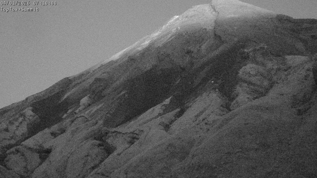 Top Tow, fixed zoom lens camera