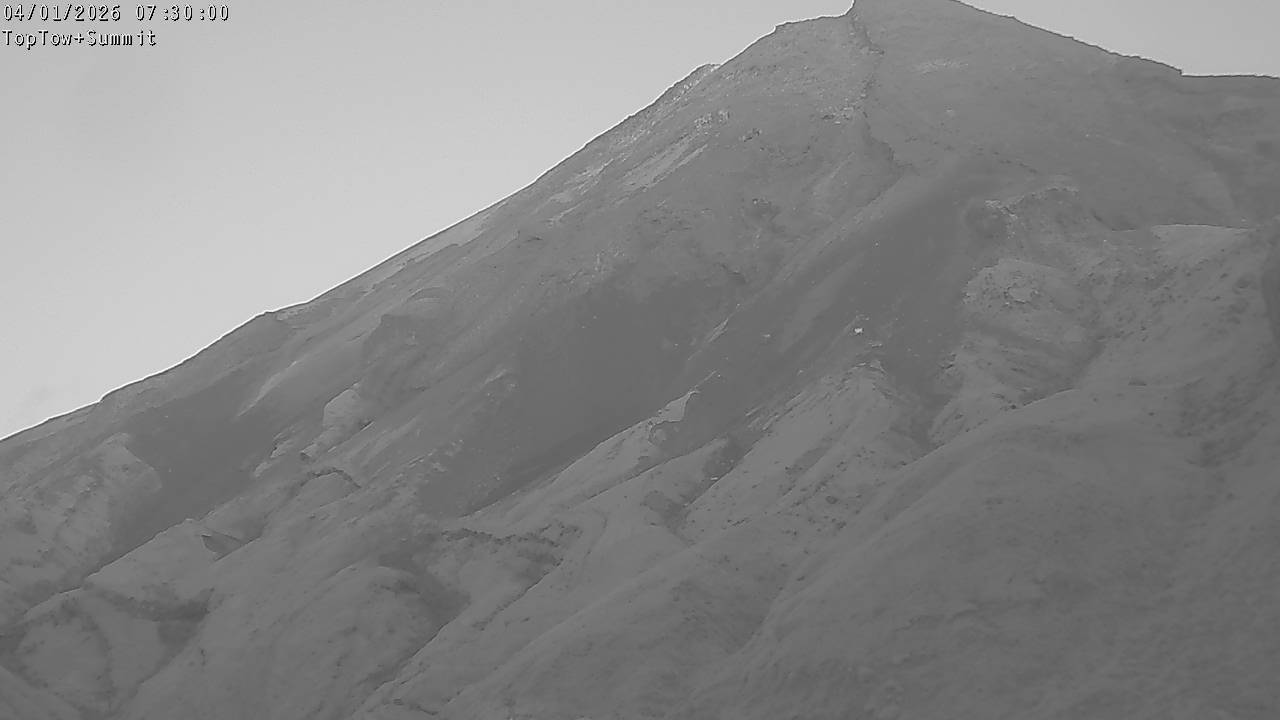 Top Tow, fixed zoom lens camera