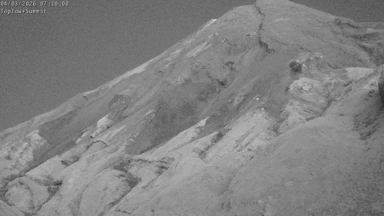 Top Tow, fixed zoom lens camera