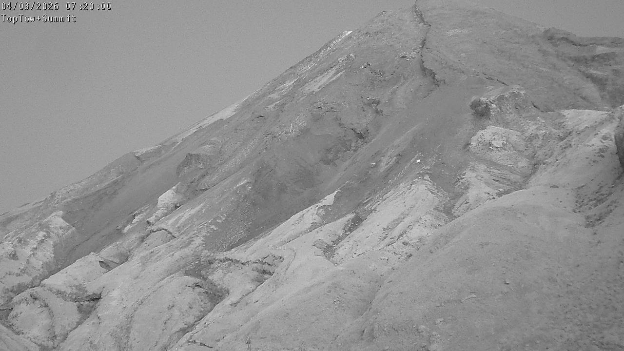 Top Tow, fixed zoom lens camera