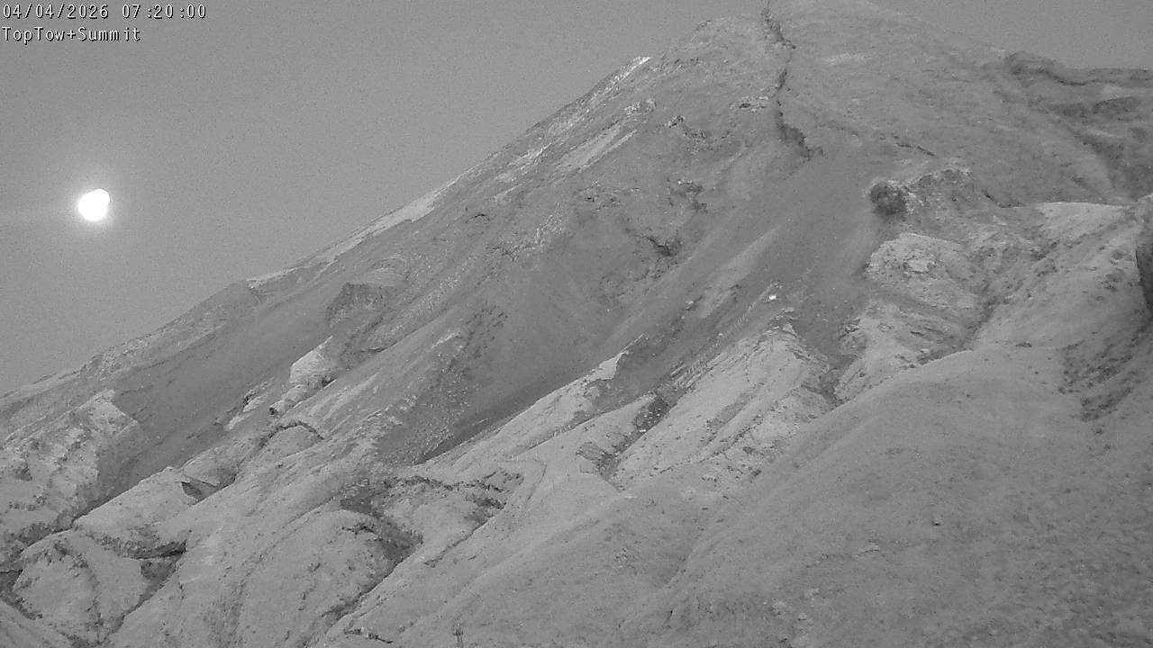 Top Tow, fixed zoom lens camera