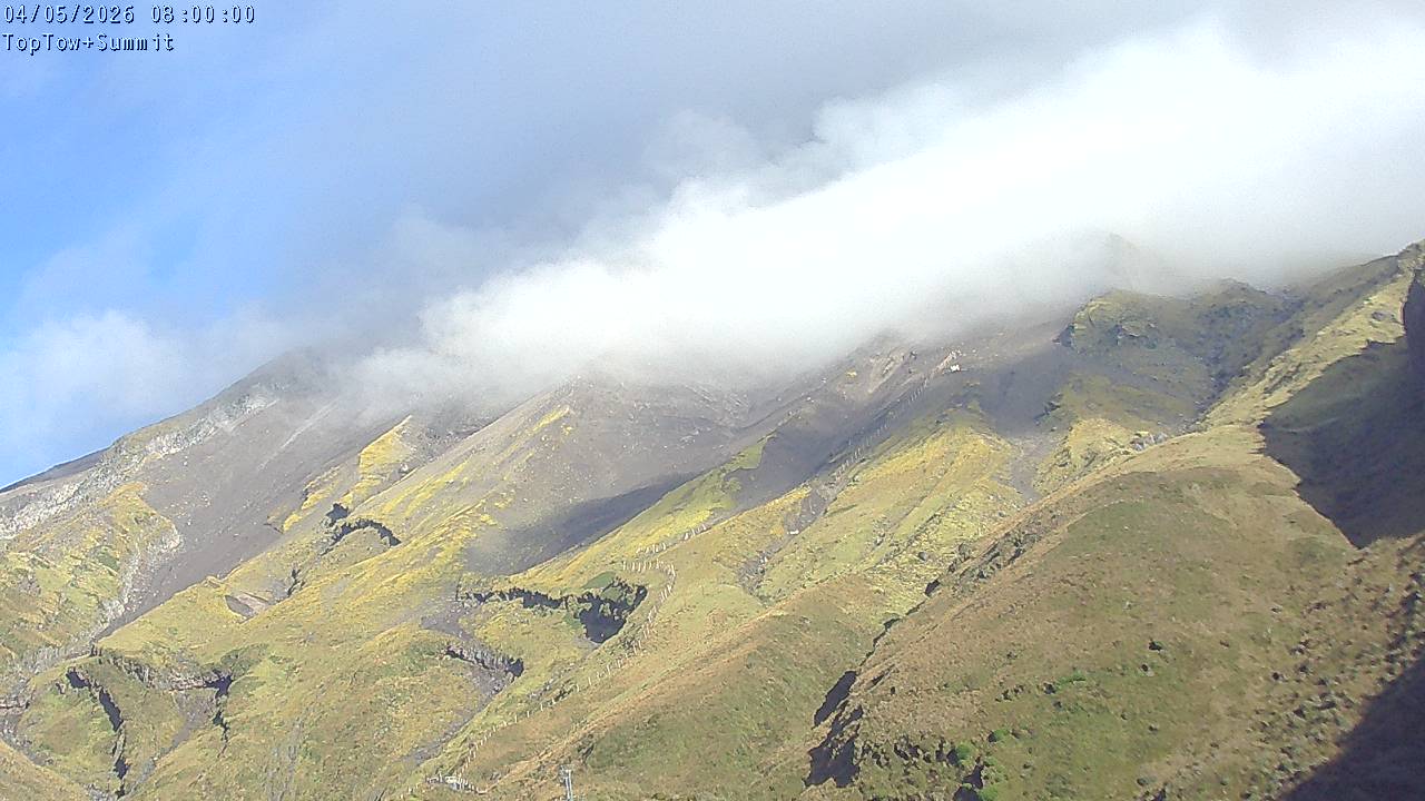 Top Tow, fixed zoom lens camera