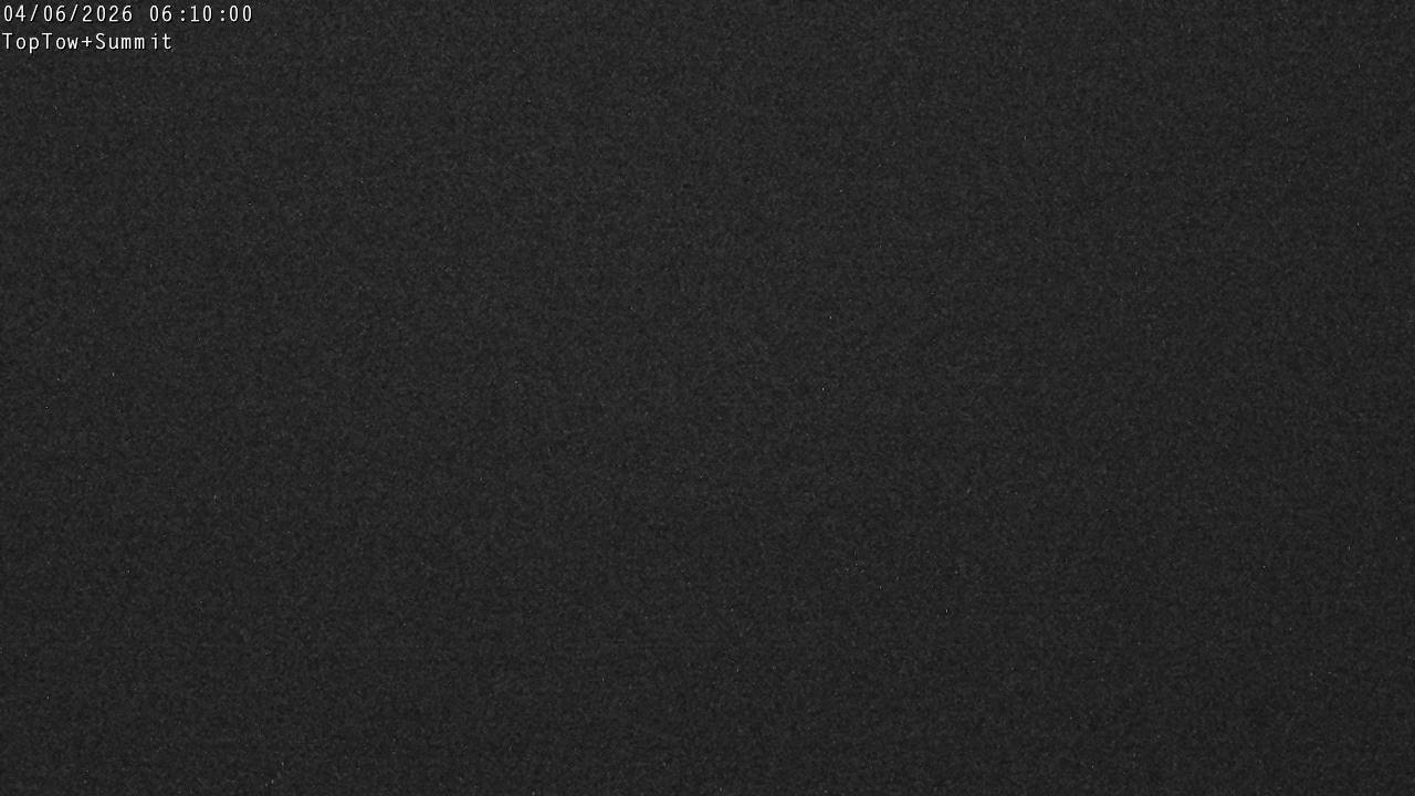 Top Tow, fixed zoom lens camera