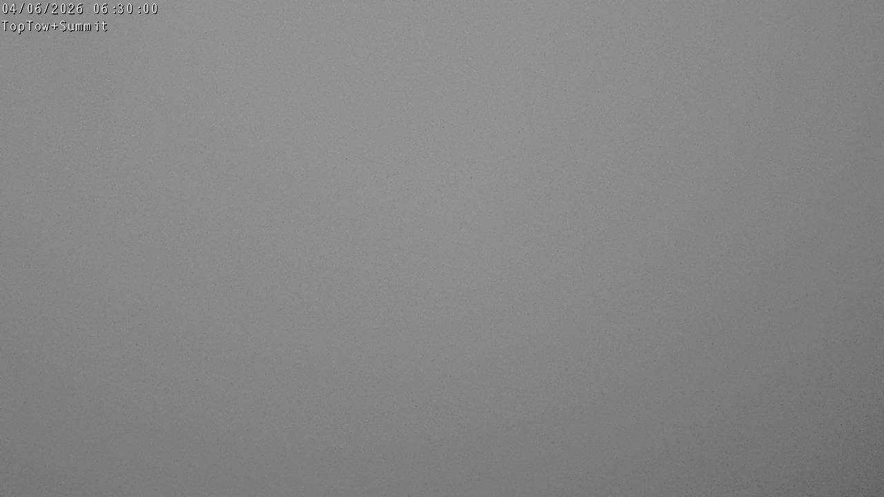 Top Tow, fixed zoom lens camera