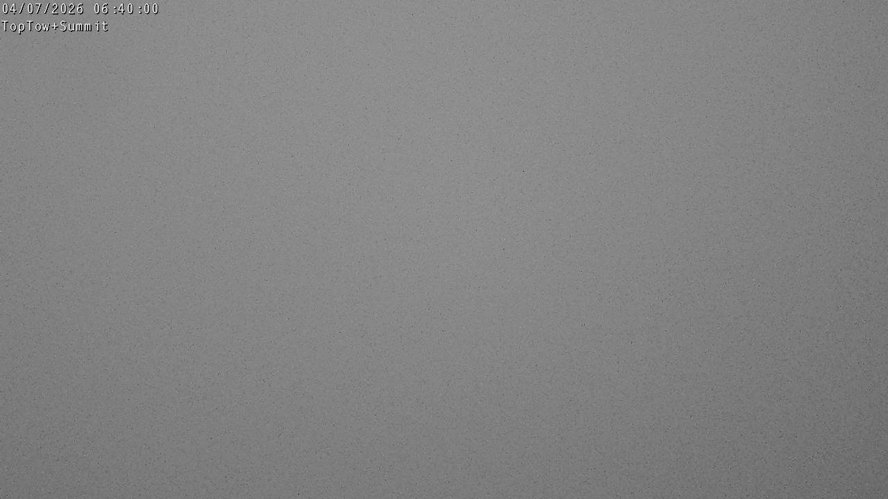 Top Tow, fixed zoom lens camera