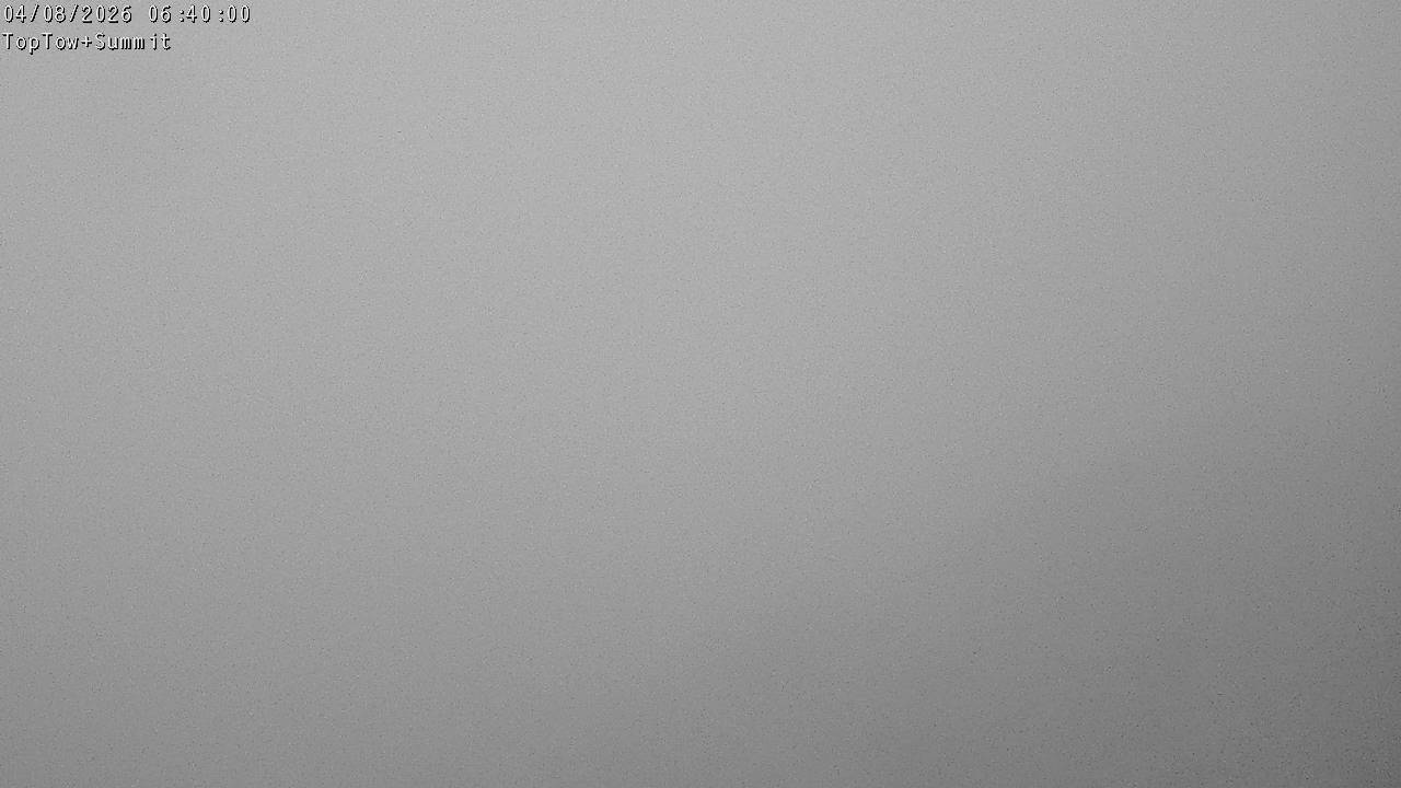 Top Tow, fixed zoom lens camera