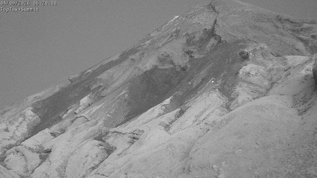 Top Tow, fixed zoom lens camera