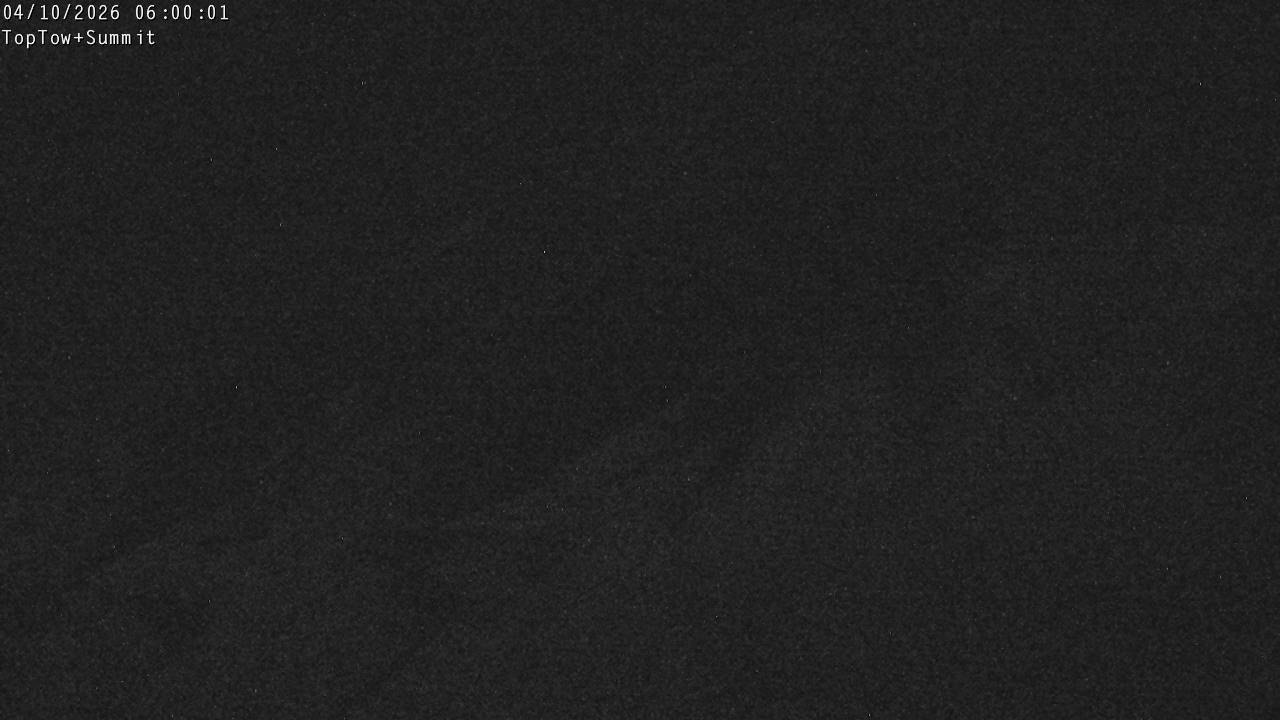 Top Tow, fixed zoom lens camera