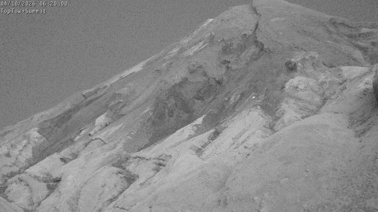 Top Tow, fixed zoom lens camera