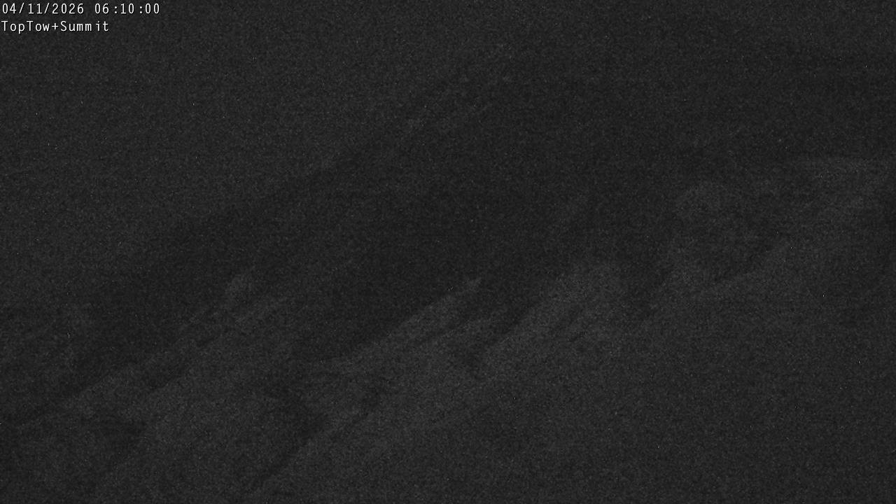 Top Tow, fixed zoom lens camera