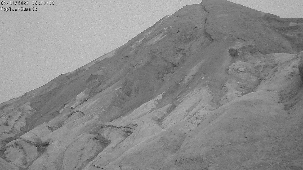 Top Tow, fixed zoom lens camera