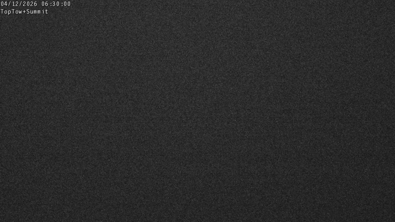 Top Tow, fixed zoom lens camera