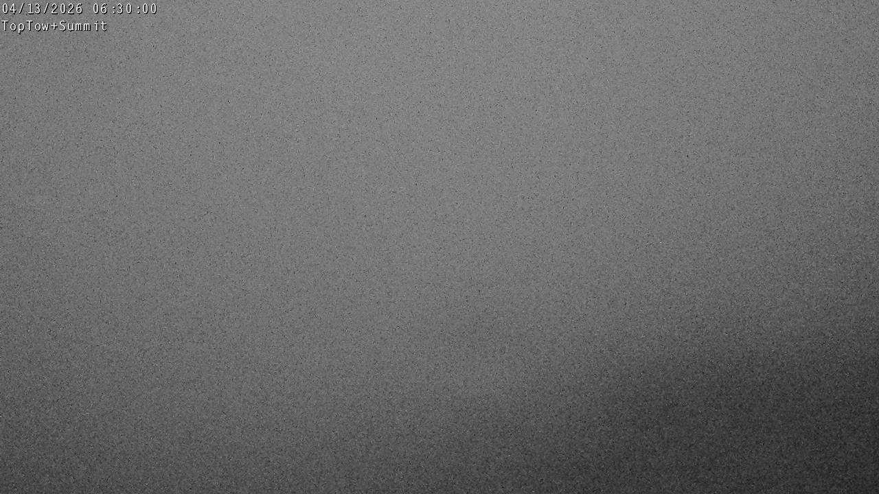 Top Tow, fixed zoom lens camera