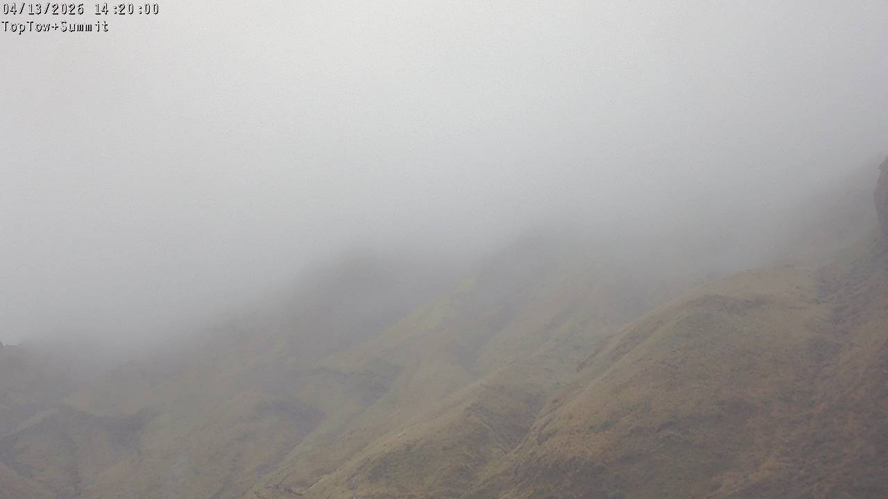 Top Tow, fixed zoom lens camera