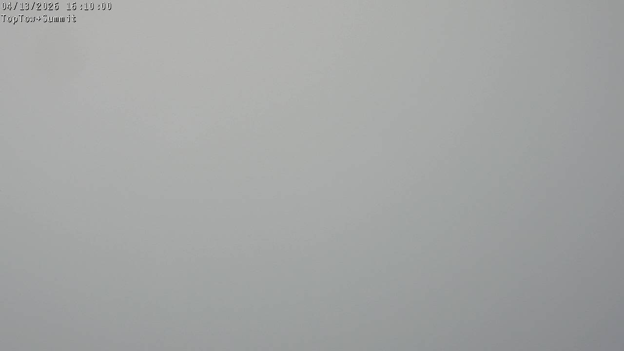 Top Tow, fixed zoom lens camera