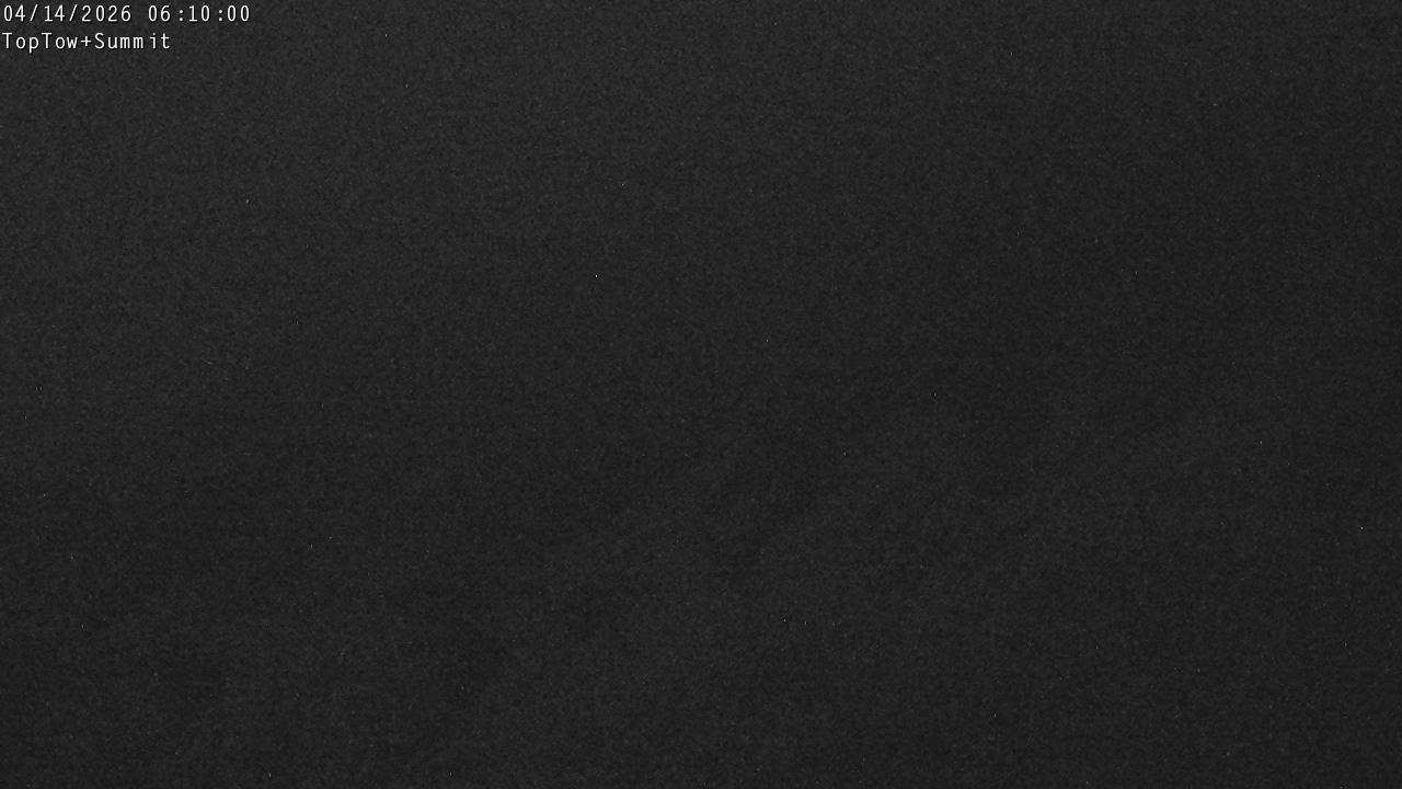 Top Tow, fixed zoom lens camera