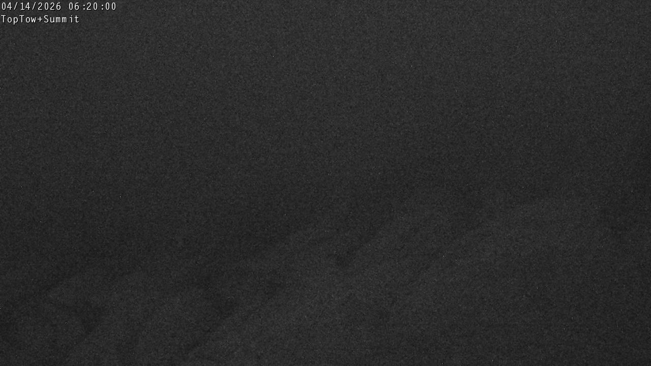 Top Tow, fixed zoom lens camera