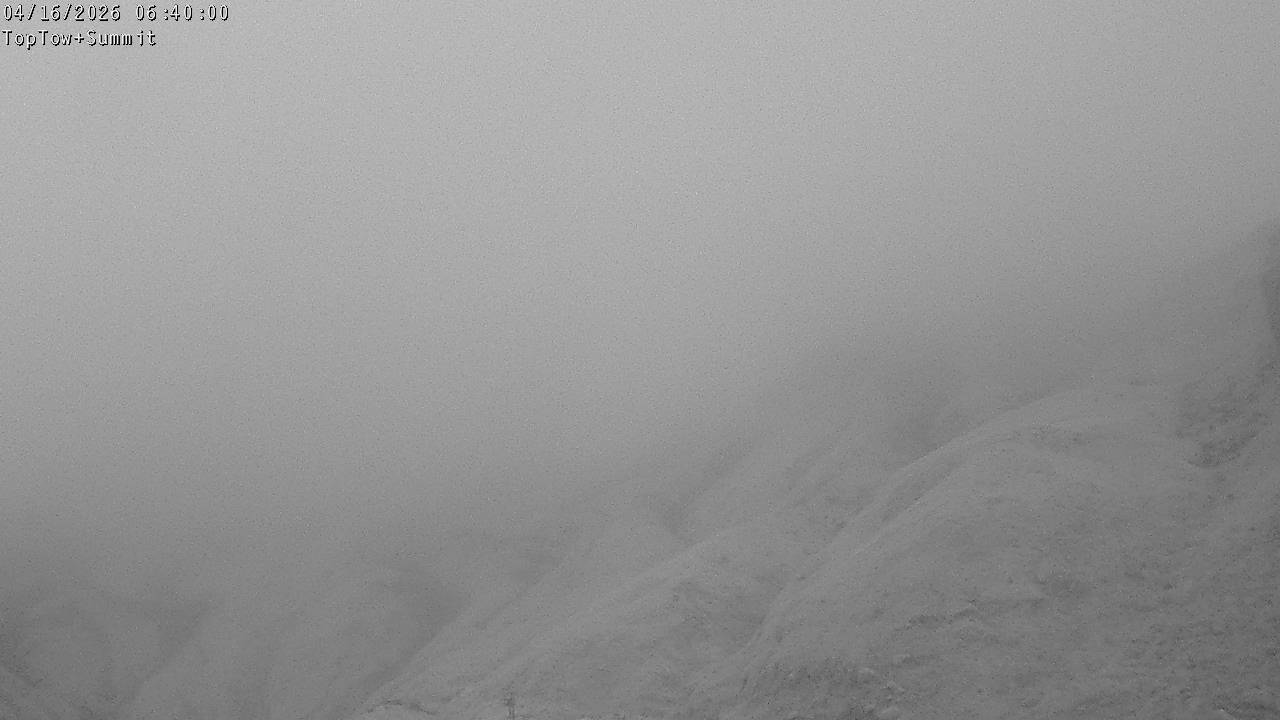 Top Tow, fixed zoom lens camera