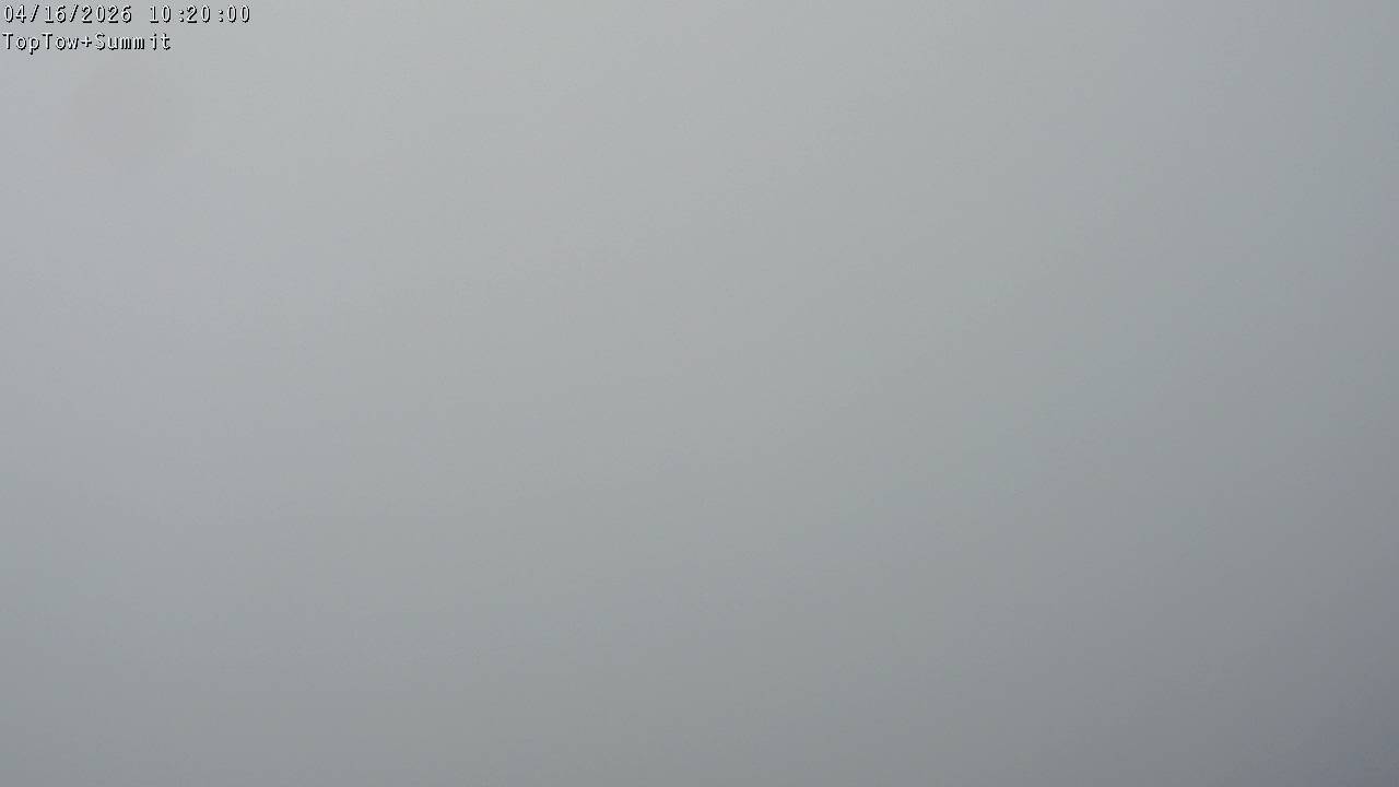 Top Tow, fixed zoom lens camera